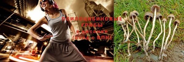 ПСИЛОЦИБИНОВЫЕ ГРИБЫ Балабаново