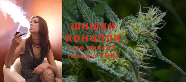 ПСИЛОЦИБИНОВЫЕ ГРИБЫ Балабаново
