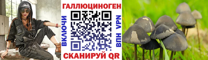 Галлюциногенные грибы Psilocybine cubensis  где купить наркотик  Онега 